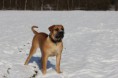 /album/anka/wandelen-092-jpg/